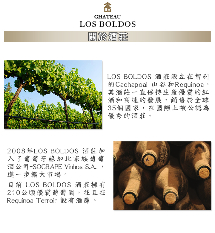 2022 - 1 停售產品-Chateau Los Boldos Sanama Merlot 750ml 勝利馬梅洛紅酒 